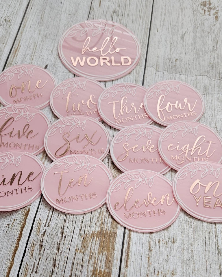 Baby Girl Milestone Plaques. Birth to 12 Months. New.