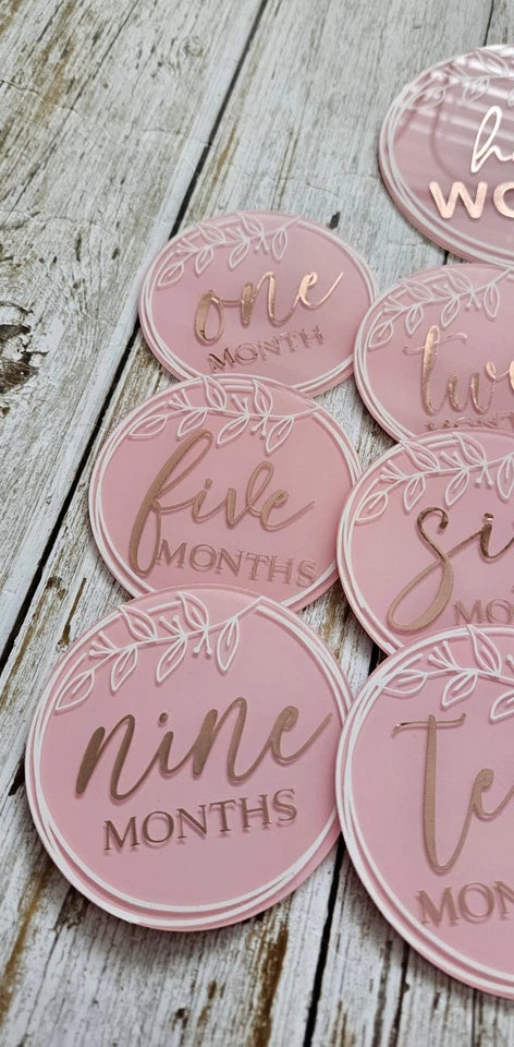 Baby Girl Milestone Plaques. Birth to 12 Months. New.