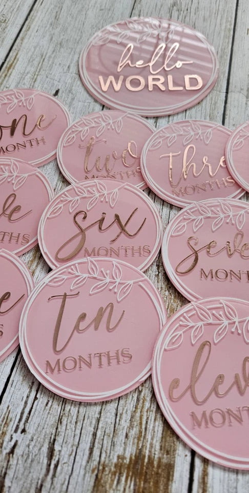 Baby Girl Milestone Plaques. Birth to 12 Months. New.