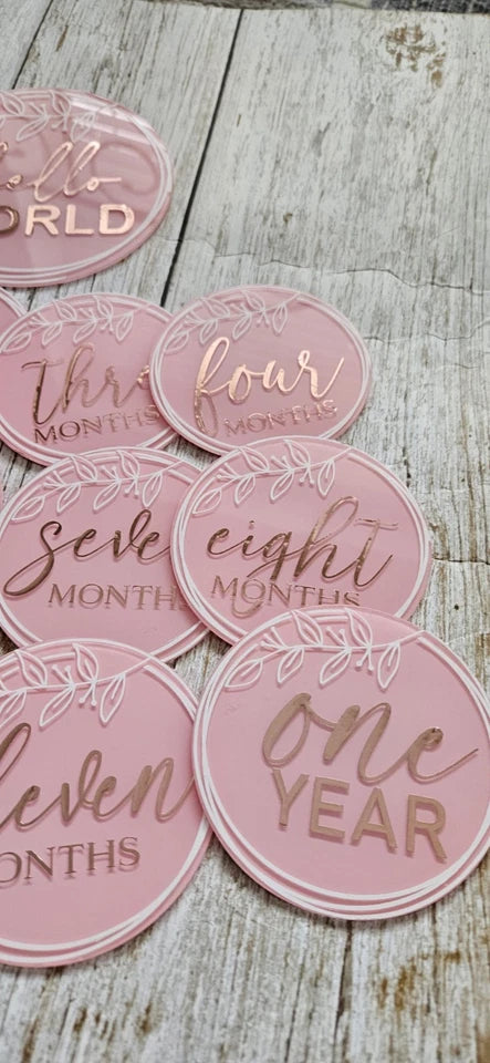 Baby Girl Milestone Plaques. Birth to 12 Months. New.